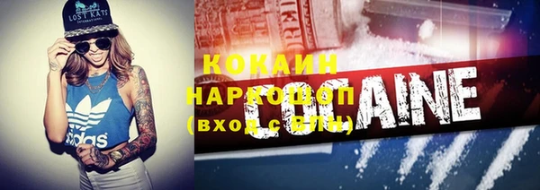 индика Михайловка