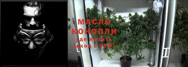 индика Михайловка