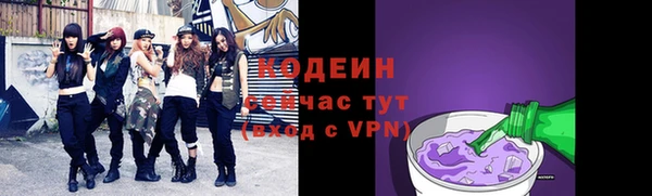 шишки Медвежьегорск