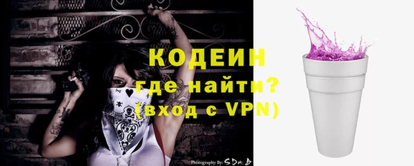 шишки Медвежьегорск
