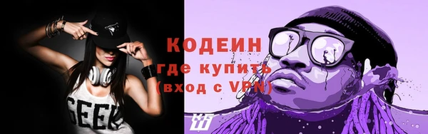 индика Михайловка
