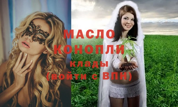 шишки Медвежьегорск