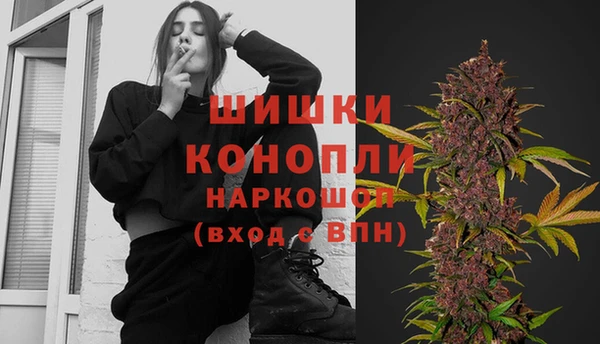 шишки Медвежьегорск
