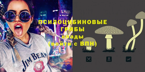 прущая мука Михайлов