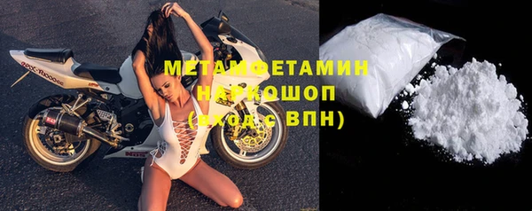 прущие грибы Медногорск