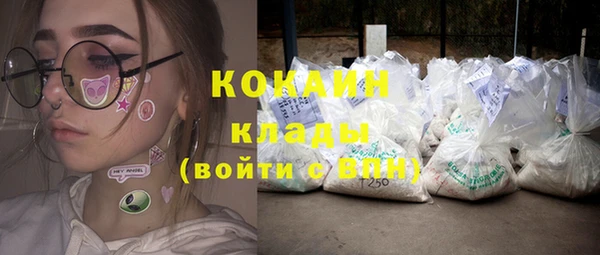 индика Михайловка