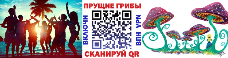 Псилоцибиновые грибы Cubensis Алексин