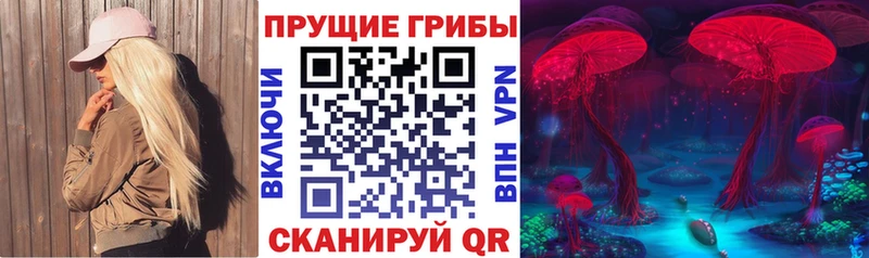 Купить где  Алексин  Псилоцибиновые грибы прущие грибы 